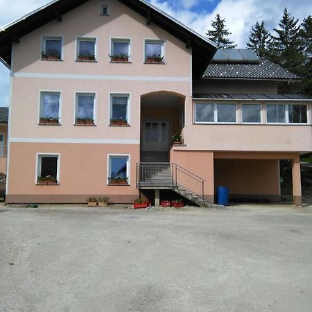 Villa Kmetija Knavs Nova Vas  Esterno foto